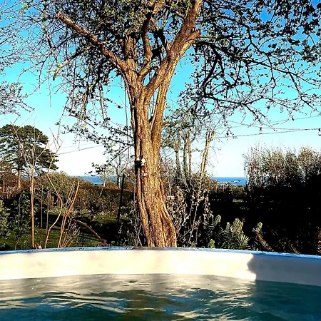 Le Petit Nid, Vue Mer, L'ile De Tatihou Avec Bain Nordique Ferienhaus La Pernelle